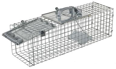 Cage to aid with catching and controlling pests