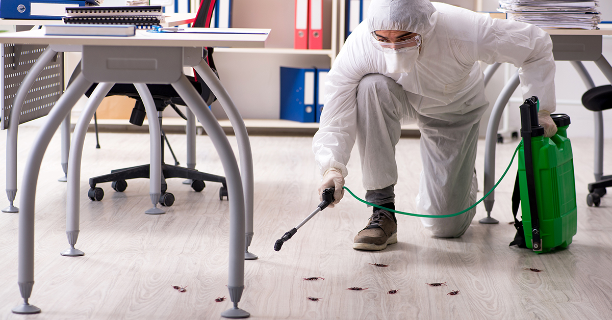 Pests In The Work Place | PestGone Commercial Pest Control